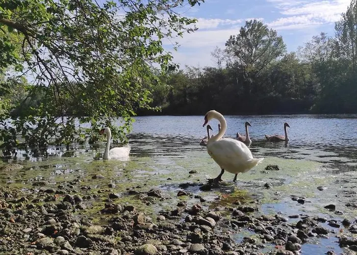 106 Gradini * Bottanuco